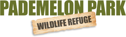 Pademelon Park Wildlife Refuge logo